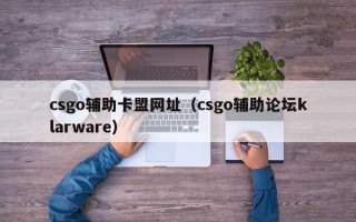 csgo辅助卡盟网址（csgo辅助论坛klarware）