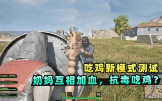 揭秘《绝地求生》奶妈辅助卡密：提升生存与援助的秘密武器