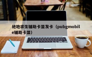 绝地求生辅助卡盟发卡（pubgmobile辅助卡盟）