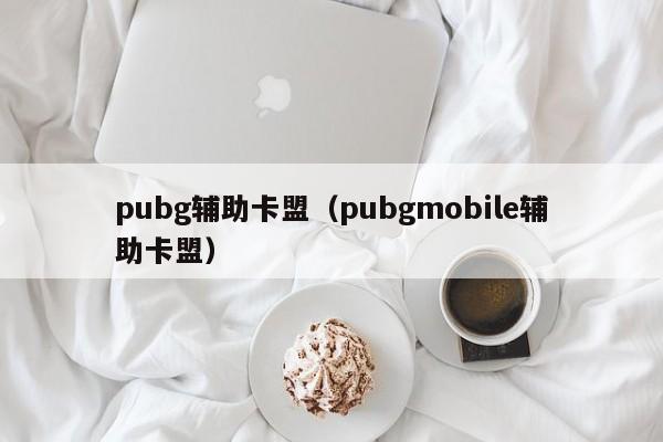 pubg辅助卡盟（pubgmobile辅助卡盟）