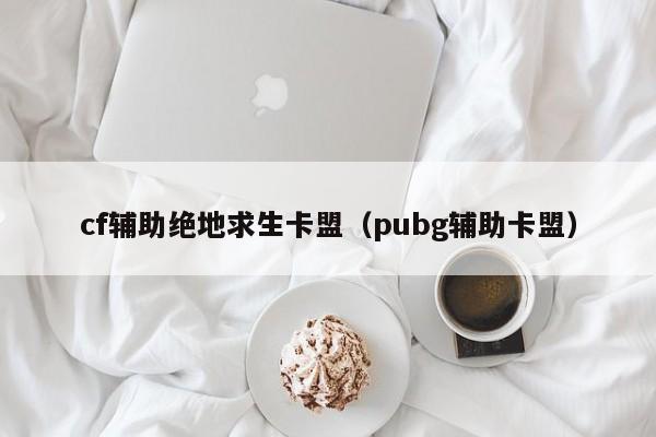 cf辅助绝地求生卡盟（pubg辅助卡盟）