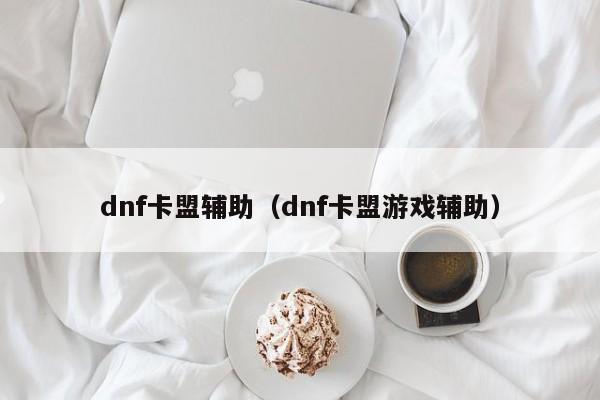 dnf卡盟辅助（dnf卡盟游戏辅助）